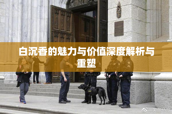 白沉香的魅力与价值深度解析与重塑