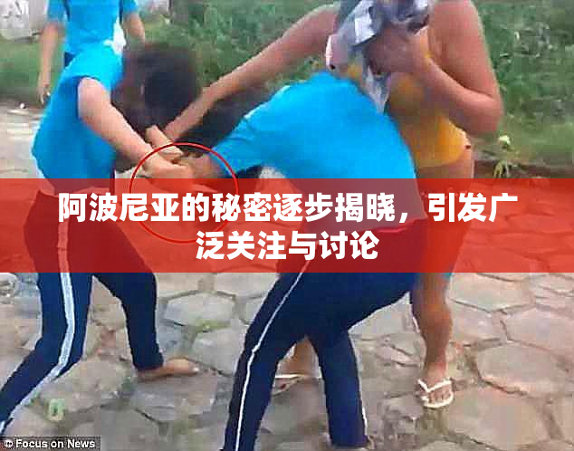 阿波尼亚的秘密逐步揭晓，引发广泛关注与讨论