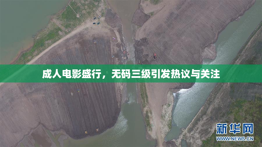 成人电影盛行，无码三级引发热议与关注