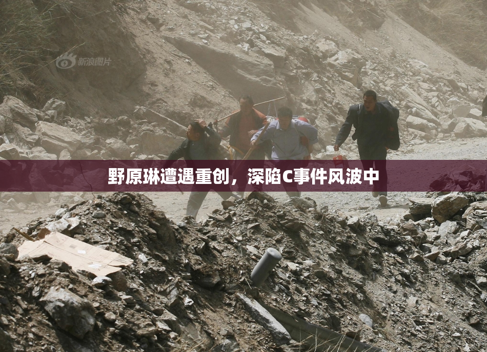野原琳遭遇重创，深陷C事件风波中