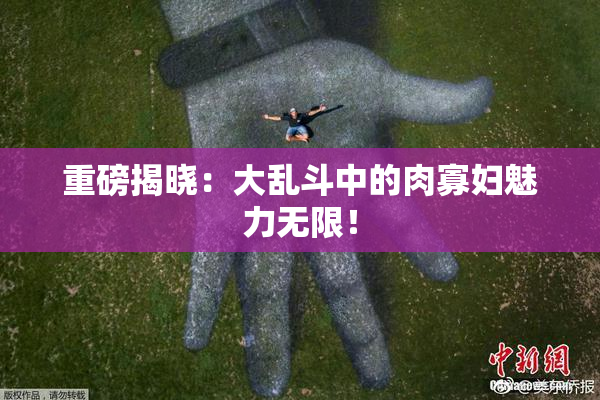 重磅揭晓：大乱斗中的肉寡妇魅力无限！