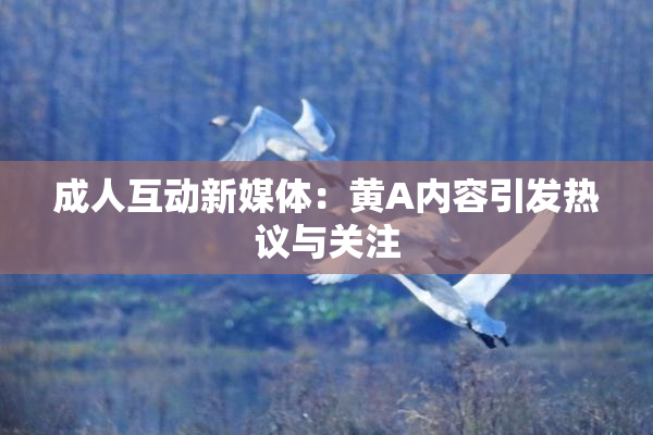 成人互动新媒体：黄A内容引发热议与关注