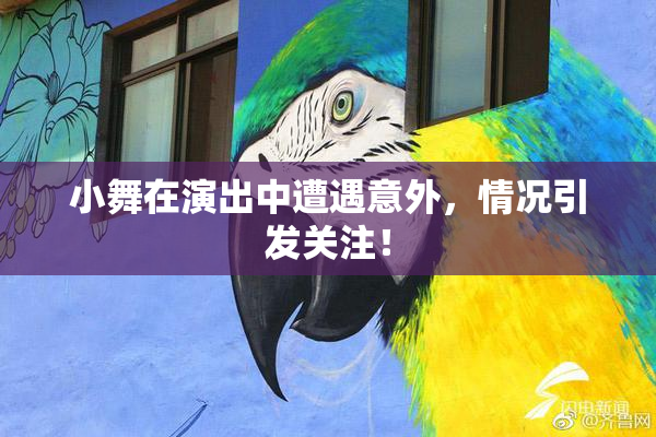 小舞在演出中遭遇意外，情况引发关注！