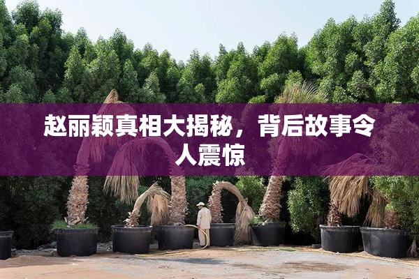 赵丽颖真相大揭秘，背后故事令人震惊