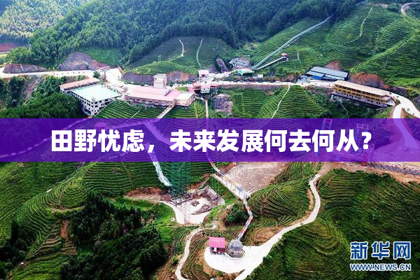 田野忧虑，未来发展何去何从？