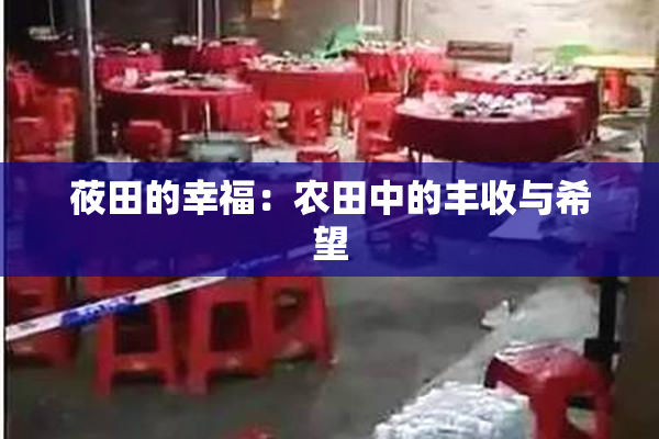 莜田的幸福：农田中的丰收与希望