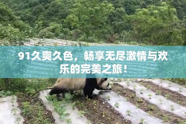 91久爽久色，畅享无尽激情与欢乐的完美之旅！