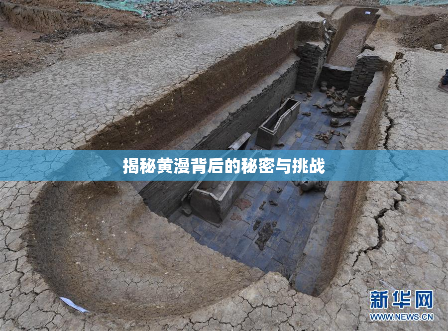 揭秘黄漫背后的秘密与挑战