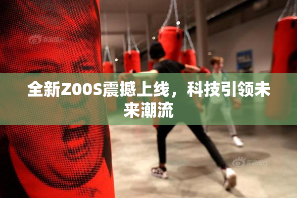 全新Z00S震撼上线，科技引领未来潮流
