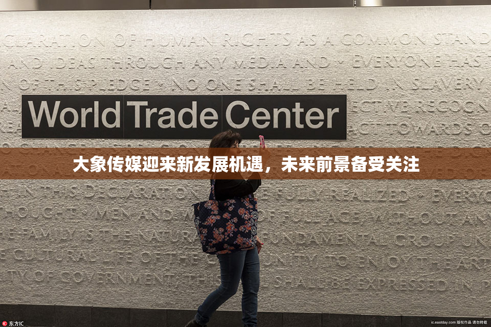 大象传媒迎来新发展机遇，未来前景备受关注