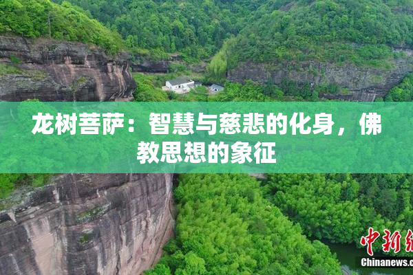 龙树菩萨：智慧与慈悲的化身，佛教思想的象征