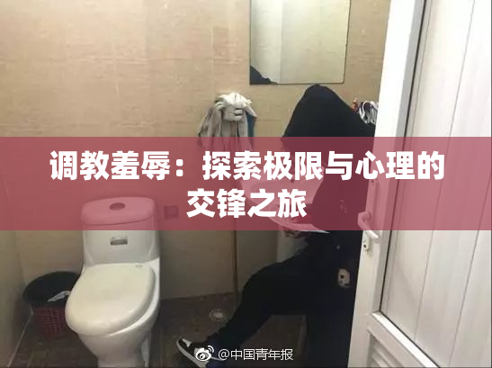 调教羞辱：探索极限与心理的交锋之旅