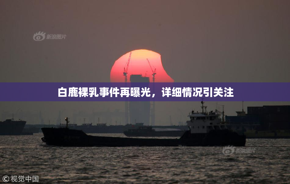 白鹿裸乳事件再曝光，详细情况引关注