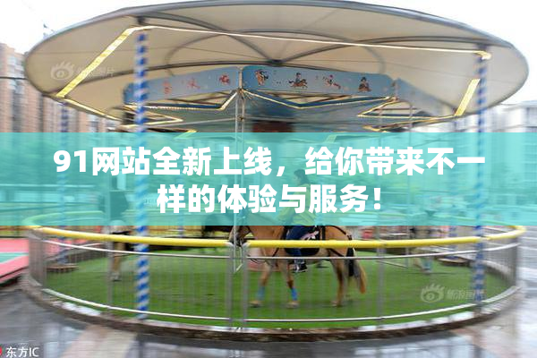 91网站全新上线，给你带来不一样的体验与服务！
