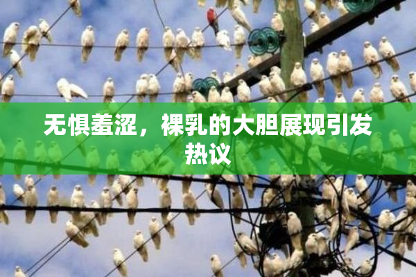 无惧羞涩，裸乳的大胆展现引发热议
