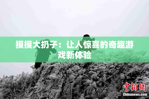 摸摸大扔子：让人惊喜的奇趣游戏新体验