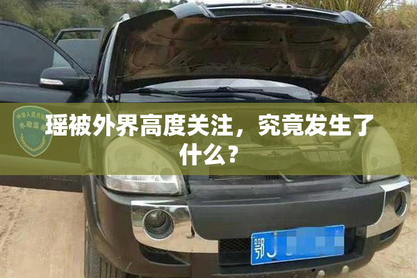 瑶被外界高度关注，究竟发生了什么？