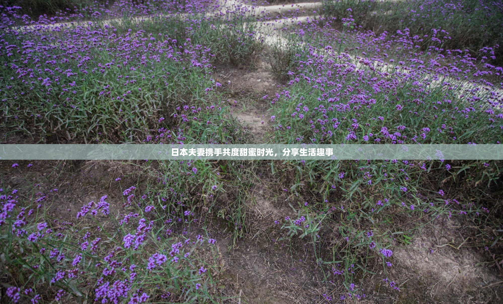 日本夫妻携手共度甜蜜时光，分享生活趣事