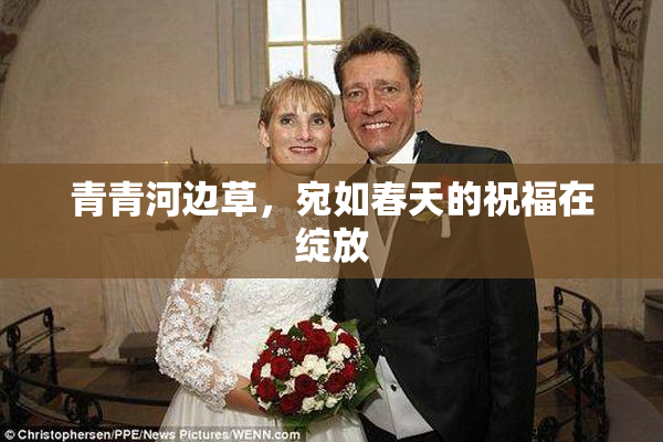 青青河边草，宛如春天的祝福在绽放