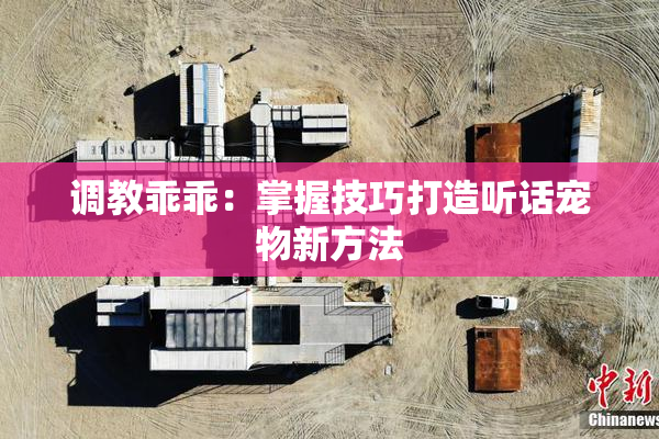 调教乖乖：掌握技巧打造听话宠物新方法