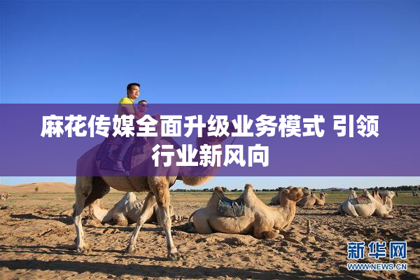 麻花传媒全面升级业务模式 引领行业新风向
