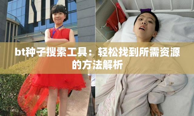 bt种子搜索工具：轻松找到所需资源的方法解析
