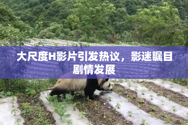 大尺度H影片引发热议，影迷瞩目剧情发展