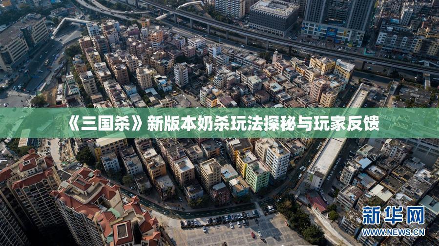 《三国杀》新版本奶杀玩法探秘与玩家反馈