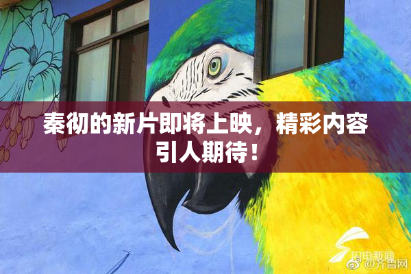 秦彻的新片即将上映，精彩内容引人期待！