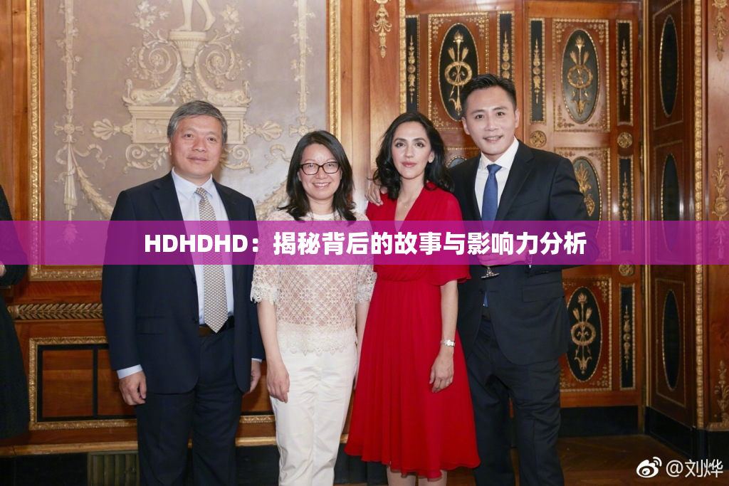 HDHDHD：揭秘背后的故事与影响力分析