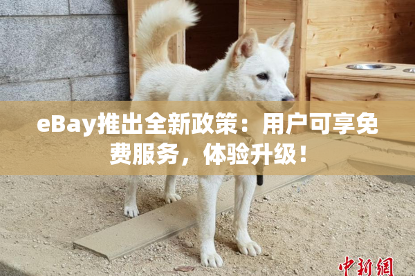 eBay推出全新政策：用户可享免费服务，体验升级！