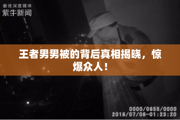 王者男男被的背后真相揭晓，惊爆众人！