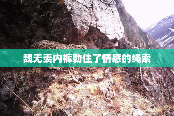 魏无羡内裤勒住了情感的绳索