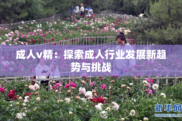 成人v精：探索成人行业发展新趋势与挑战