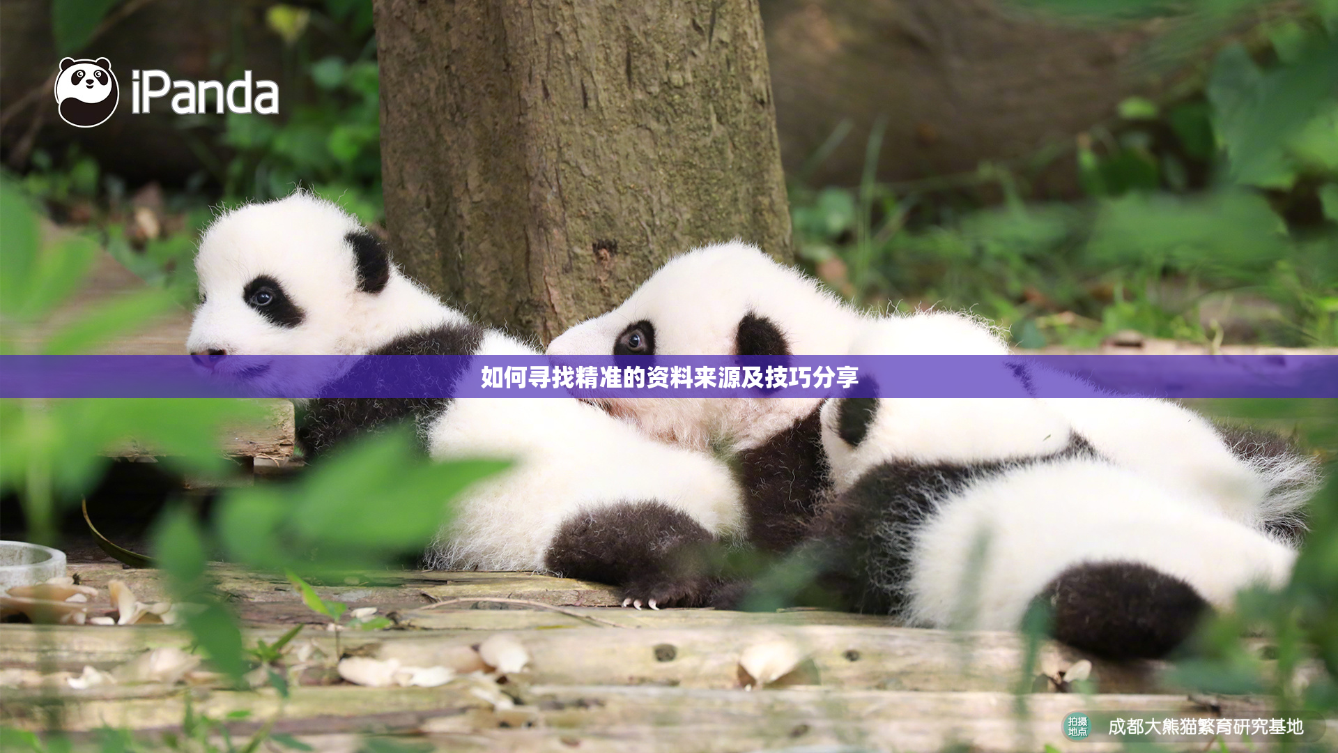 如何寻找精准的资料来源及技巧分享