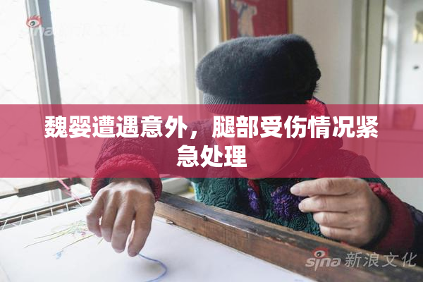 魏婴遭遇意外，腿部受伤情况紧急处理