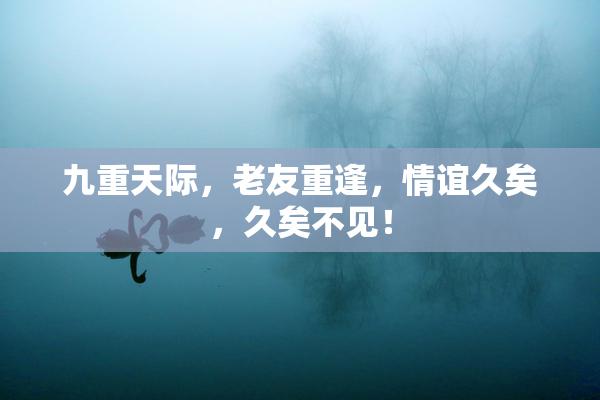 九重天际，老友重逢，情谊久矣，久矣不见！