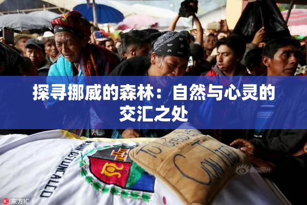 探寻挪威的森林：自然与心灵的交汇之处