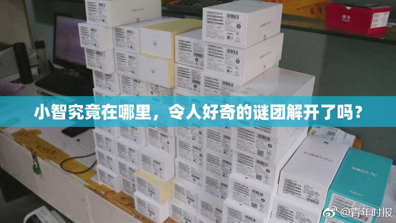 小智究竟在哪里，令人好奇的谜团解开了吗？