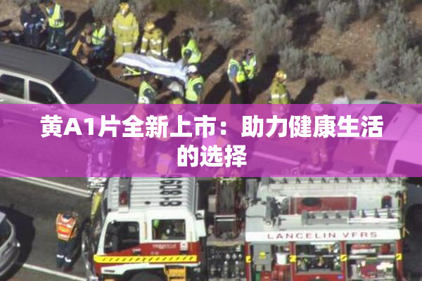 黄A1片全新上市：助力健康生活的选择