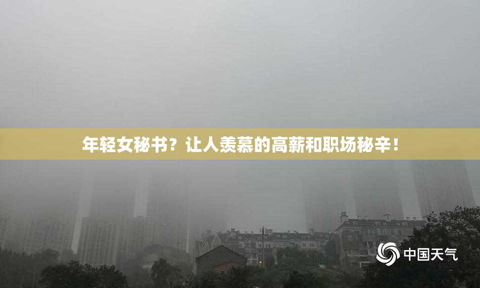 年轻女秘书？让人羡慕的高薪和职场秘辛！