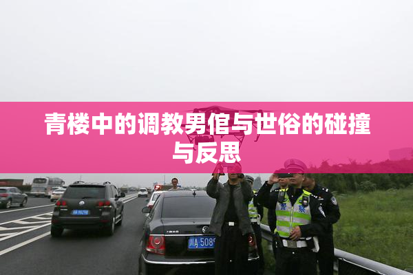 青楼中的调教男倌与世俗的碰撞与反思