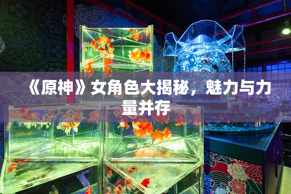 《原神》女角色大揭秘，魅力与力量并存