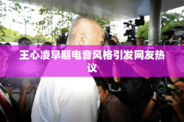 王心凌早期电音风格引发网友热议