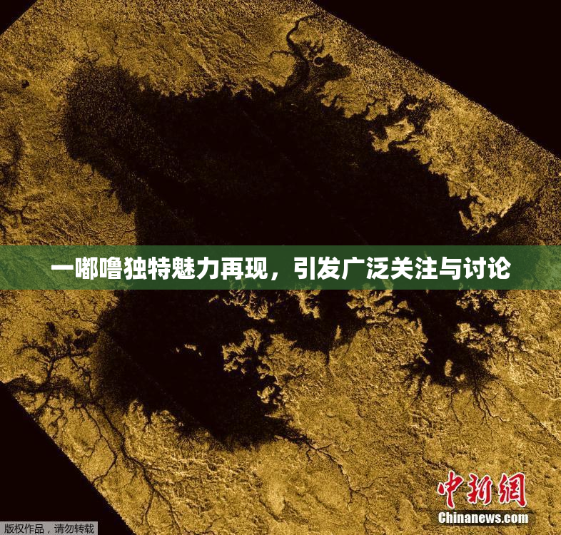 一嘟噜独特魅力再现，引发广泛关注与讨论