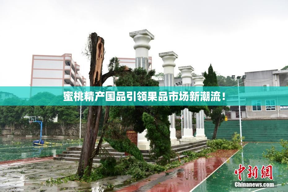 蜜桃精产国品引领果品市场新潮流！