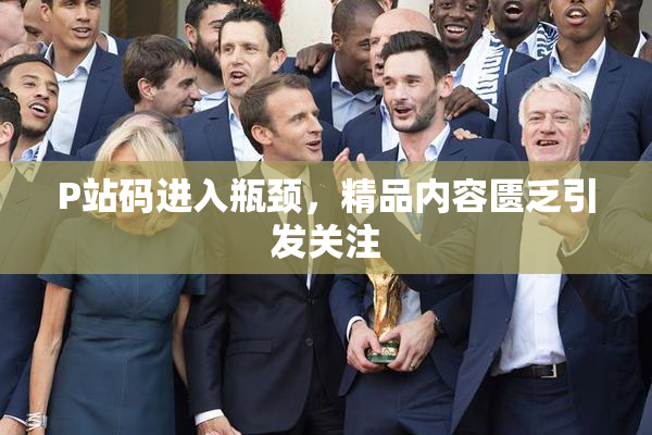 P站码进入瓶颈，精品内容匮乏引发关注