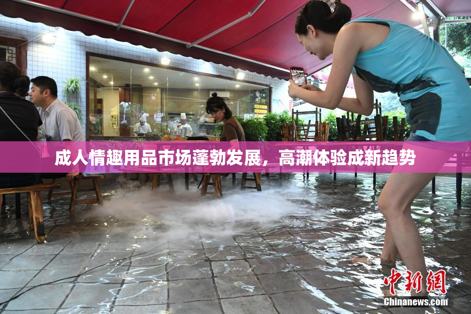 成人情趣用品市场蓬勃发展，高潮体验成新趋势