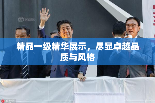 精品一级精华展示，尽显卓越品质与风格