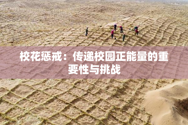 校花惩戒：传递校园正能量的重要性与挑战